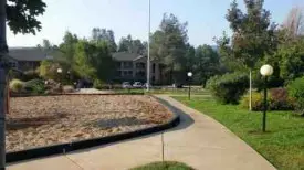 section 8 rental