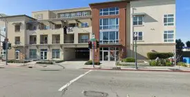 section 8 rental