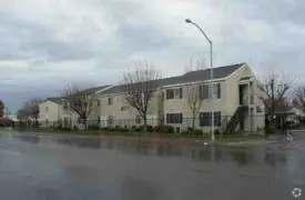 section 8 rental