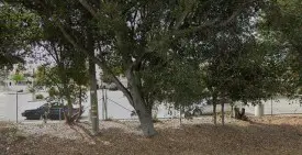 section 8 rental