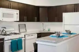section 8 rental