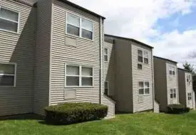 section 8 rental