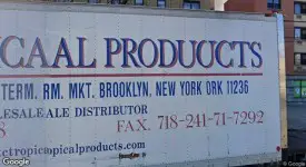 section 8 rental