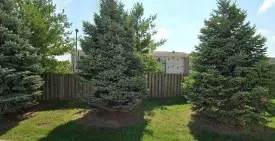 section 8 rental