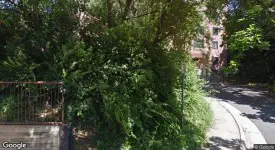 section 8 rental