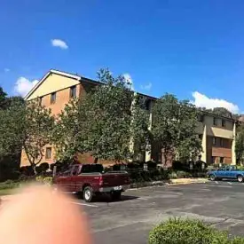section 8 rental