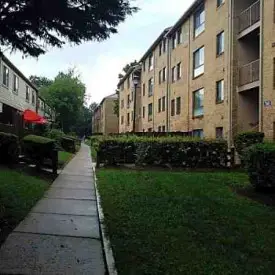 section 8 rental