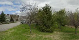 section 8 rental