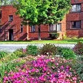 section 8 rental