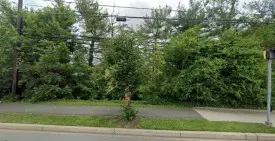 section 8 rental