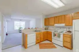 section 8 rental