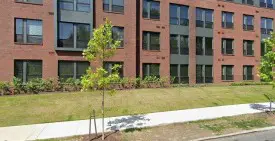 section 8 rental