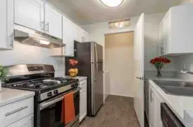 section 8 rental