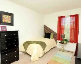 section 8 rental