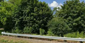 section 8 rental