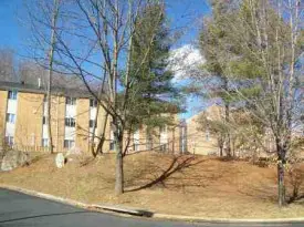 section 8 rental