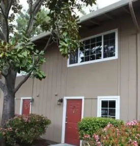 section 8 rental