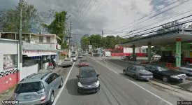section 8 rental