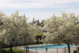 section 8 properties