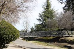 section 8 properties