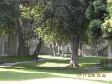 section 8 properties