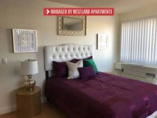 section 8 properties