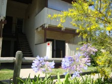 section 8 properties