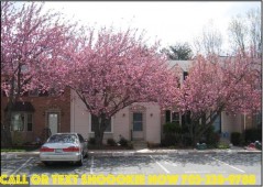 section 8 properties