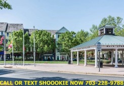 section 8 properties