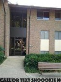 section 8 properties