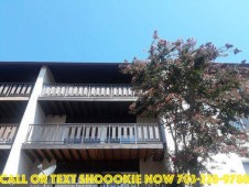 section 8 properties