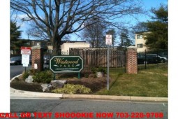 section 8 properties