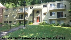 section 8 properties