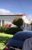 section 8 properties