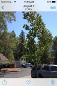 section 8 properties