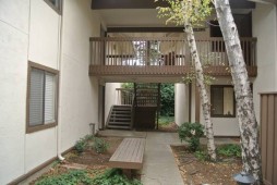 section 8 properties