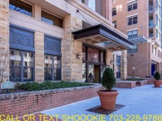section 8 properties