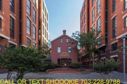section 8 properties
