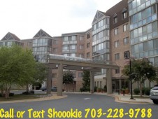 section 8 properties