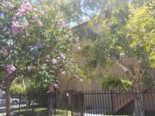 section 8 properties