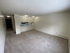section 8 properties