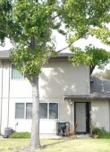 section 8 properties