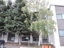 section 8 properties