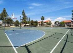 section 8 properties