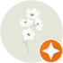 $review_author_name