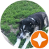 $review_author_name