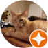 $review_author_name
