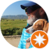$review_author_name
