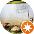 $review_author_name