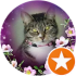 Lily Lou